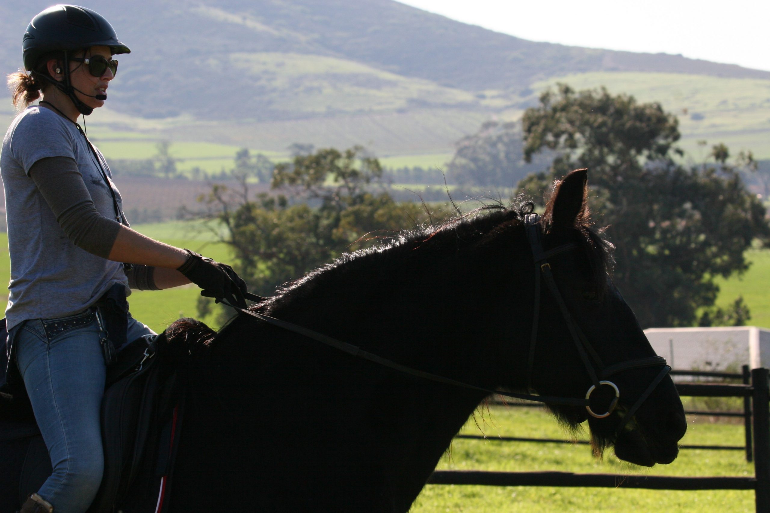 Equestrian coaching headset