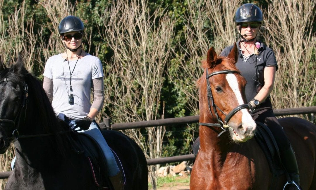BLOG: Benefits of using an equestrian wireless training system