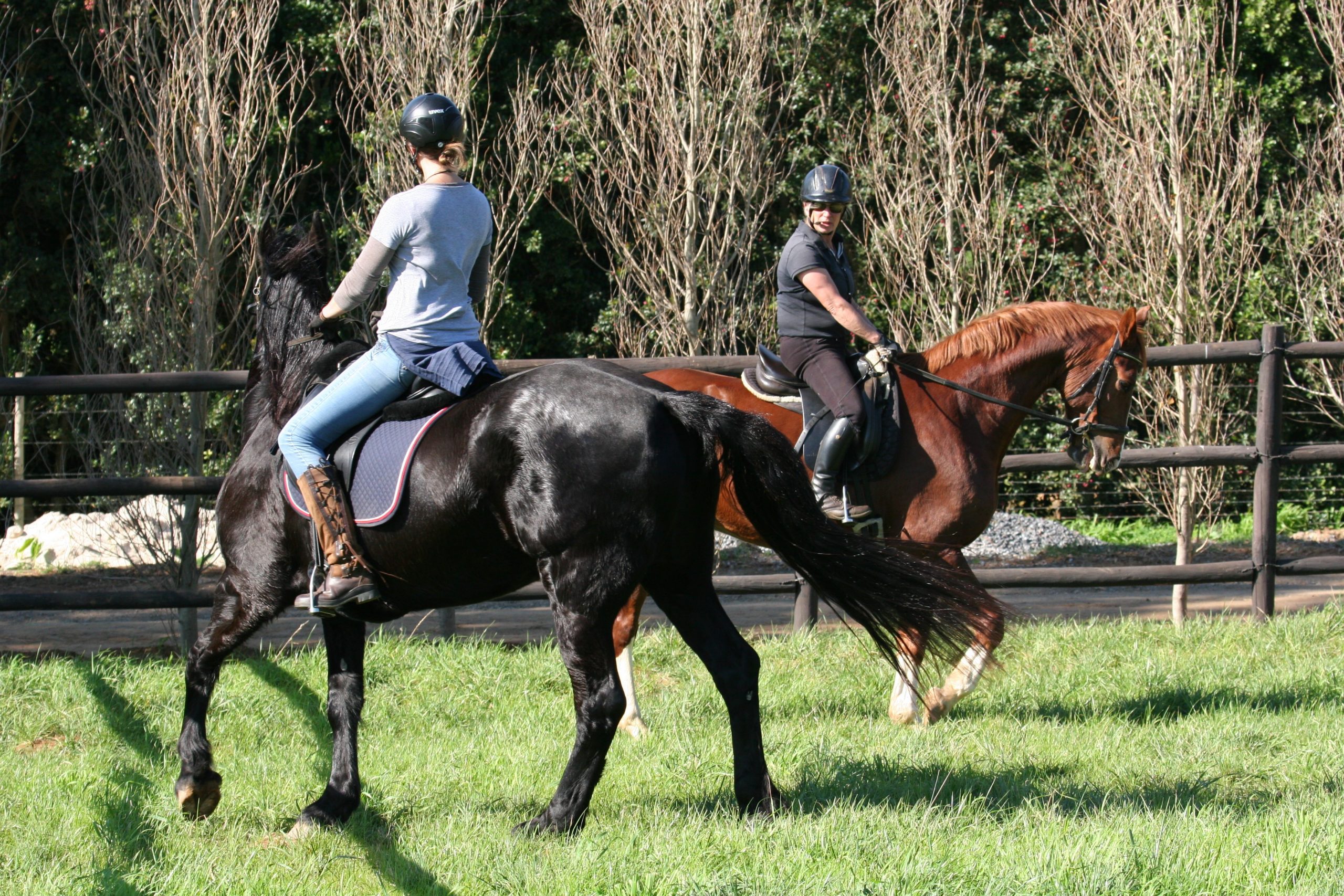 equestrian wireless training system for communication between trainer and horse rider