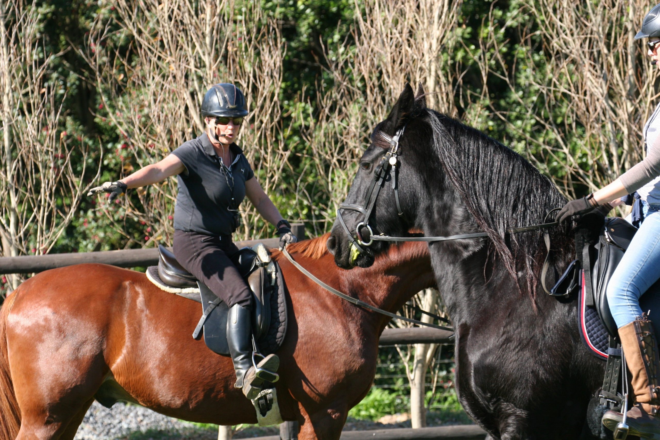 equestrian wireless training system giving instructions